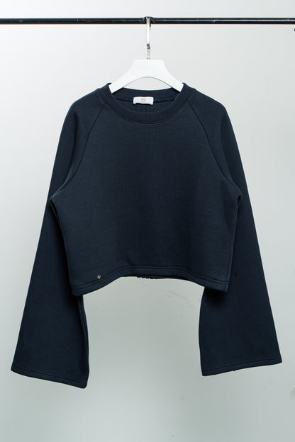 Black Sleeve Crop Sweatshirt